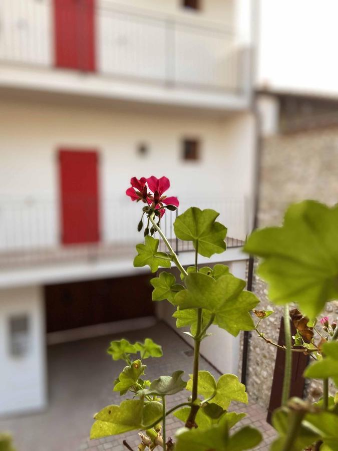 La Volpe Rossa Rooms And Apartments San Felice del Benaco Esterno foto